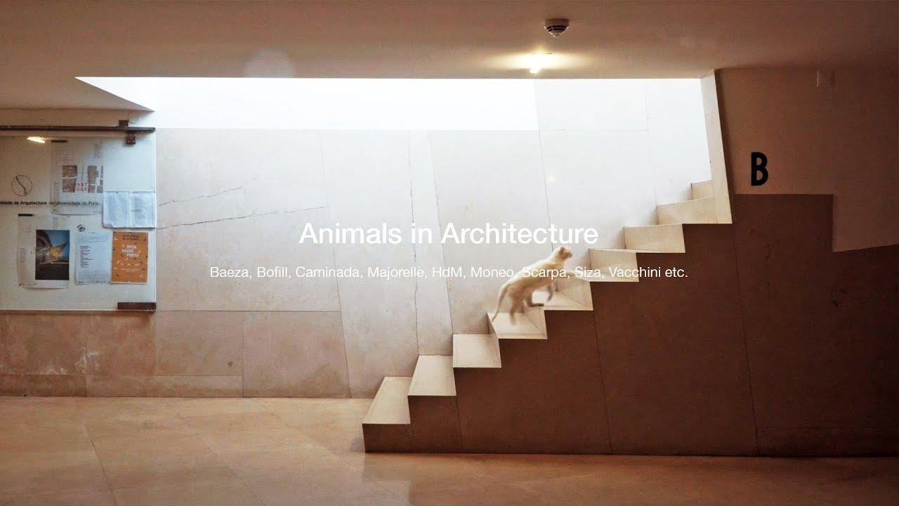 Animals in Architecture