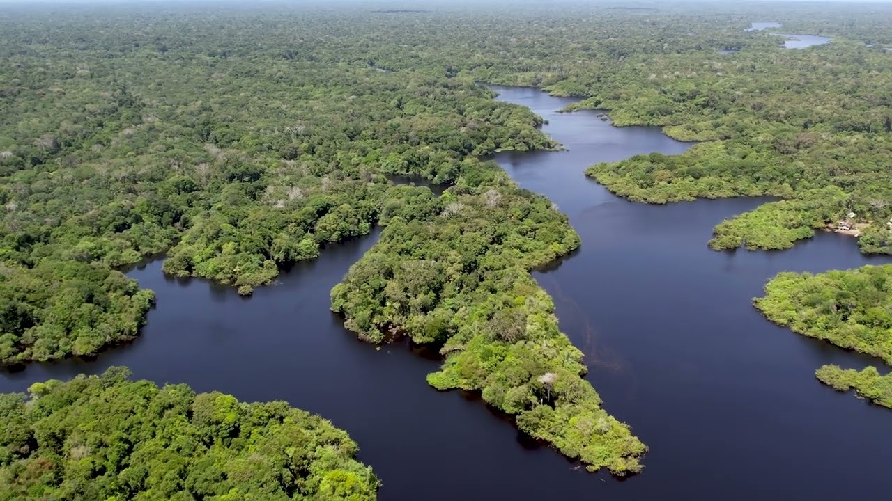 L'AMAZONIE dans la région de Manaus (Brésil)