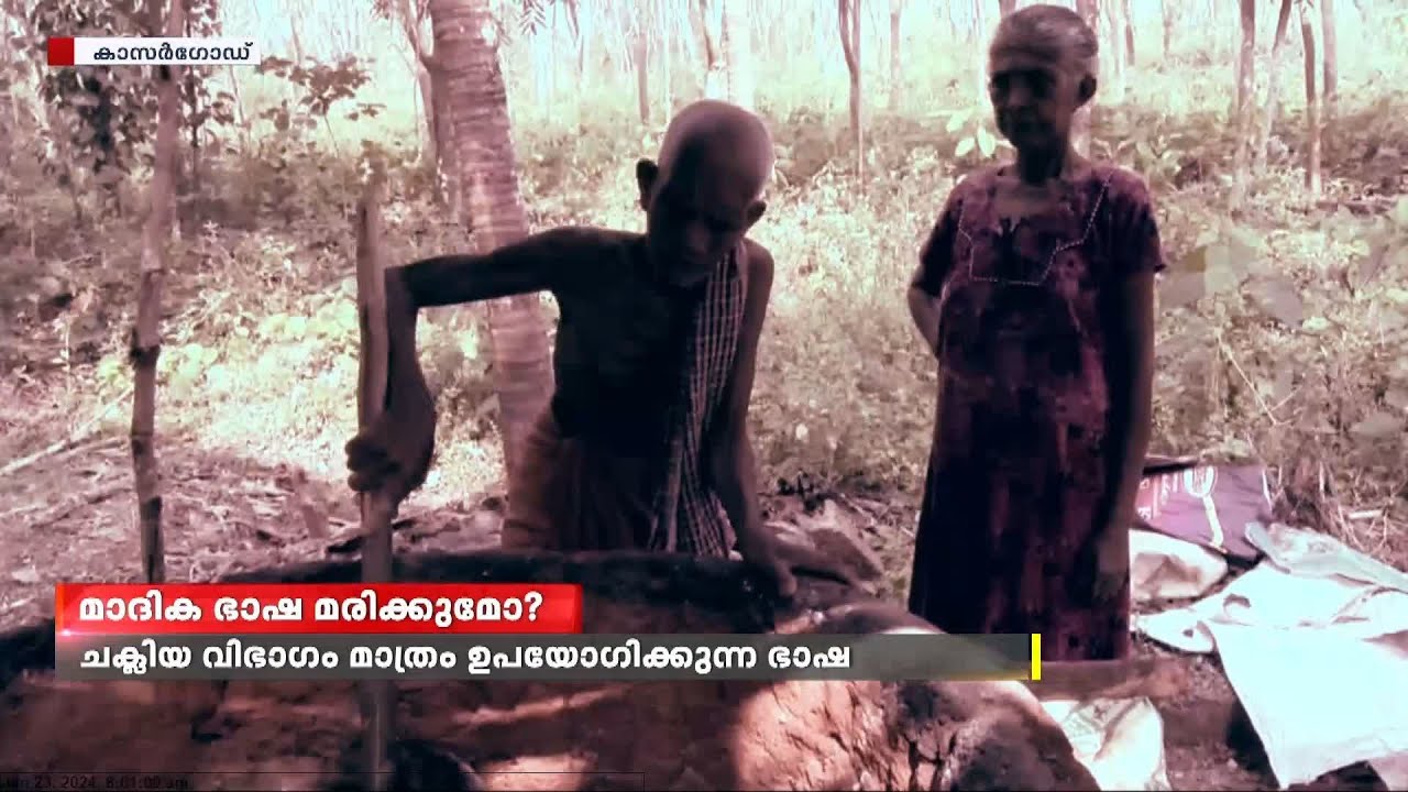 മാദിക ഭാഷയുടെ നിലനിൽപ്പിൽ ആശങ്ക; മാദിക കൈവിടാതെ നാരായണനും രാജാറാണിയും