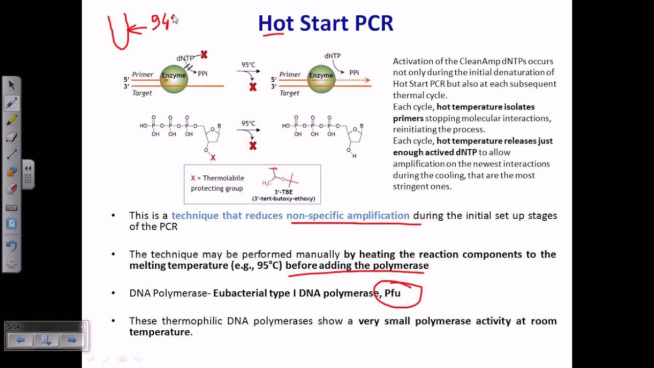 Hot start PCR