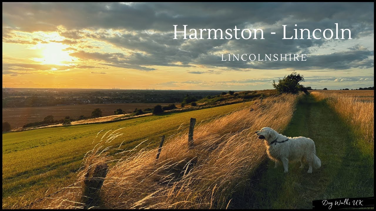 A walk from Harmston to Lincoln, England｜4K
