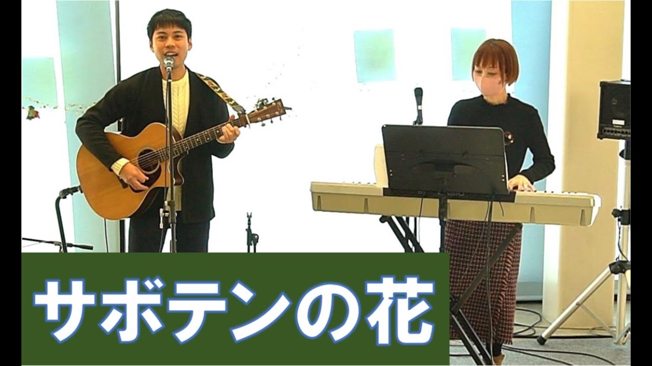 サボテンの花　チューリップ（cover）　夜行ふぃーばーver.