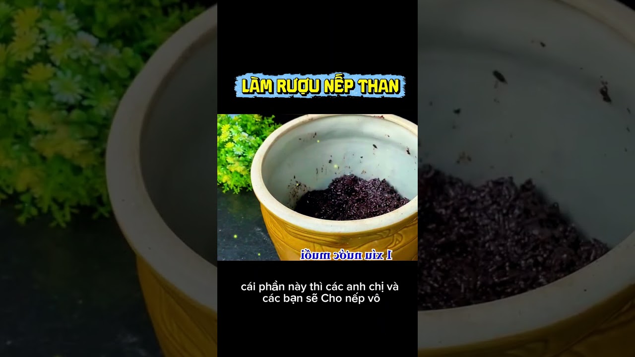 Hướng dẫn chi tiết l&agrave;m RƯỢU NẾP THAN đơn giản tại nh&agrave;!
