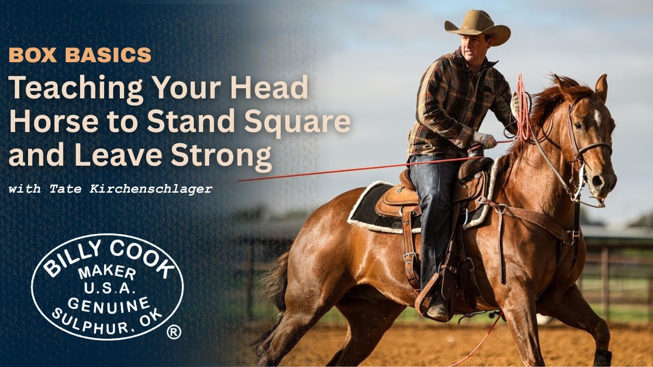 Box Basics: Teaching Your Head Horse to Stand Square and Leave Strong