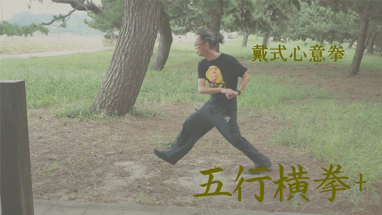 戴式心意拳「五行横拳+」vol.68  Dai shi Xinyi  Chinese Martial Arts　中国武術 Kungfu  wushu
