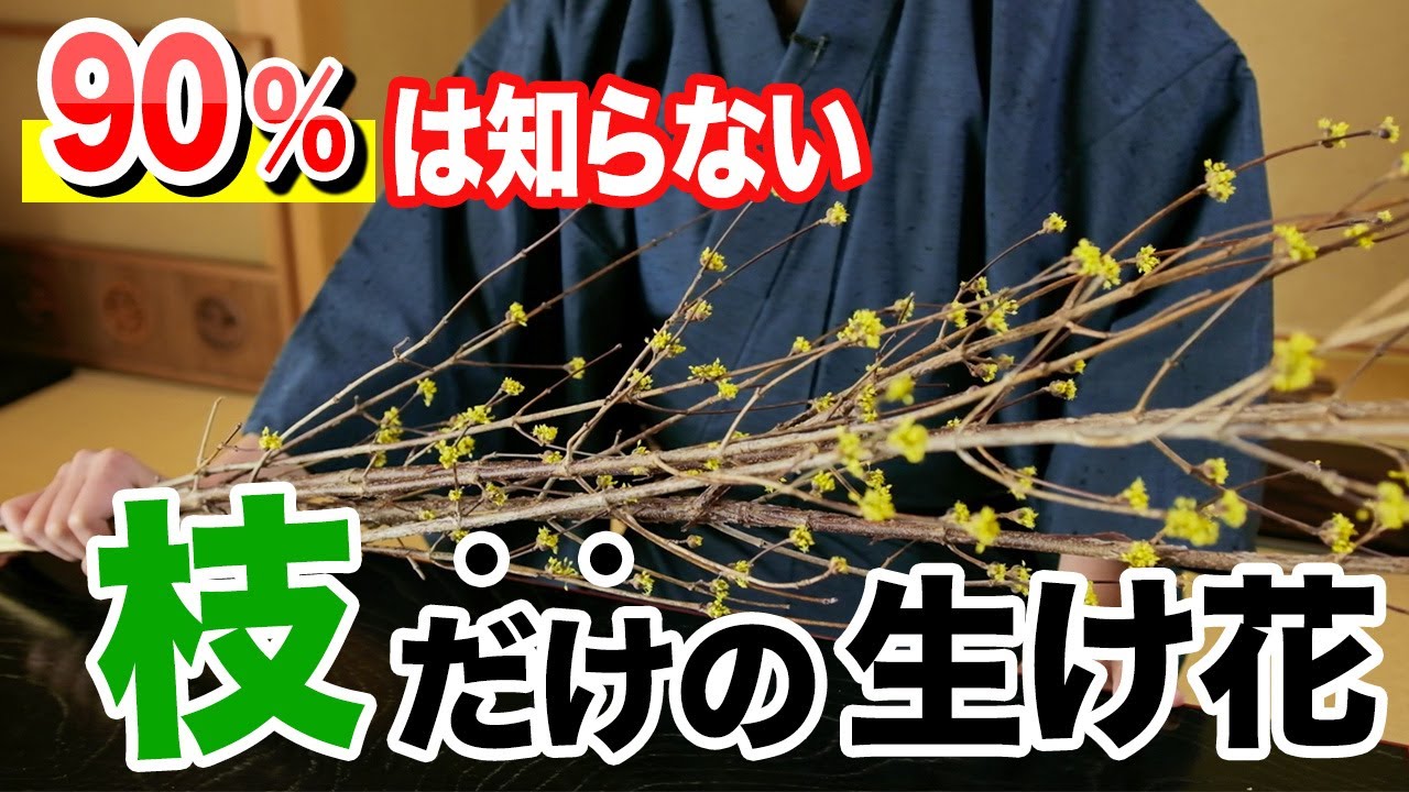 【有料級】枝だけでプロっぽい生け花にする方法！