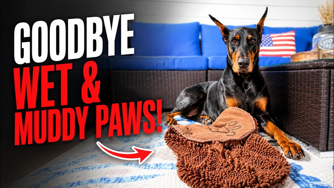 Say Goodbye to Wet & Muddy Paws! Dirty Dog Shammy Review. Watch My Doberman Put It to the Test!