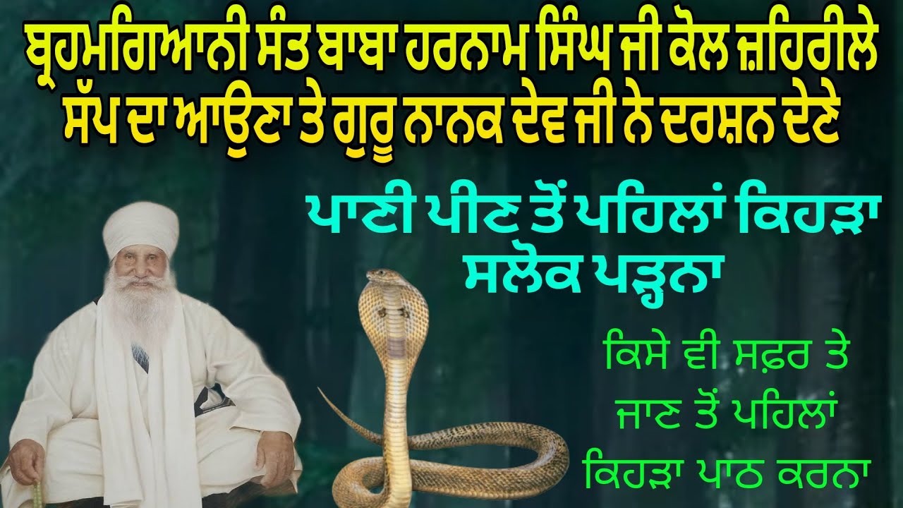 BRAHMGIANI SANT HARNAM SINGH JI KOL ZEHRILE SAP DA AOUNA TE GURU NANAK DEV JI NE DARSHAN DENE #viral
