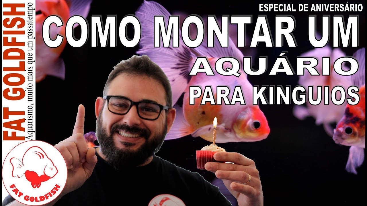 COMO MONTAR UM AQU&Aacute;RIO PARA KINGUIOS - ESPECIAL DE ANIVERS&Aacute;RIO