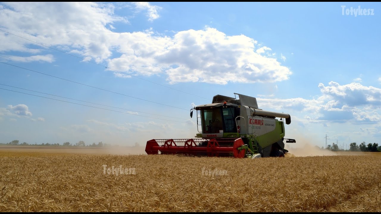 Claas Lexion 540 Búza Aratás