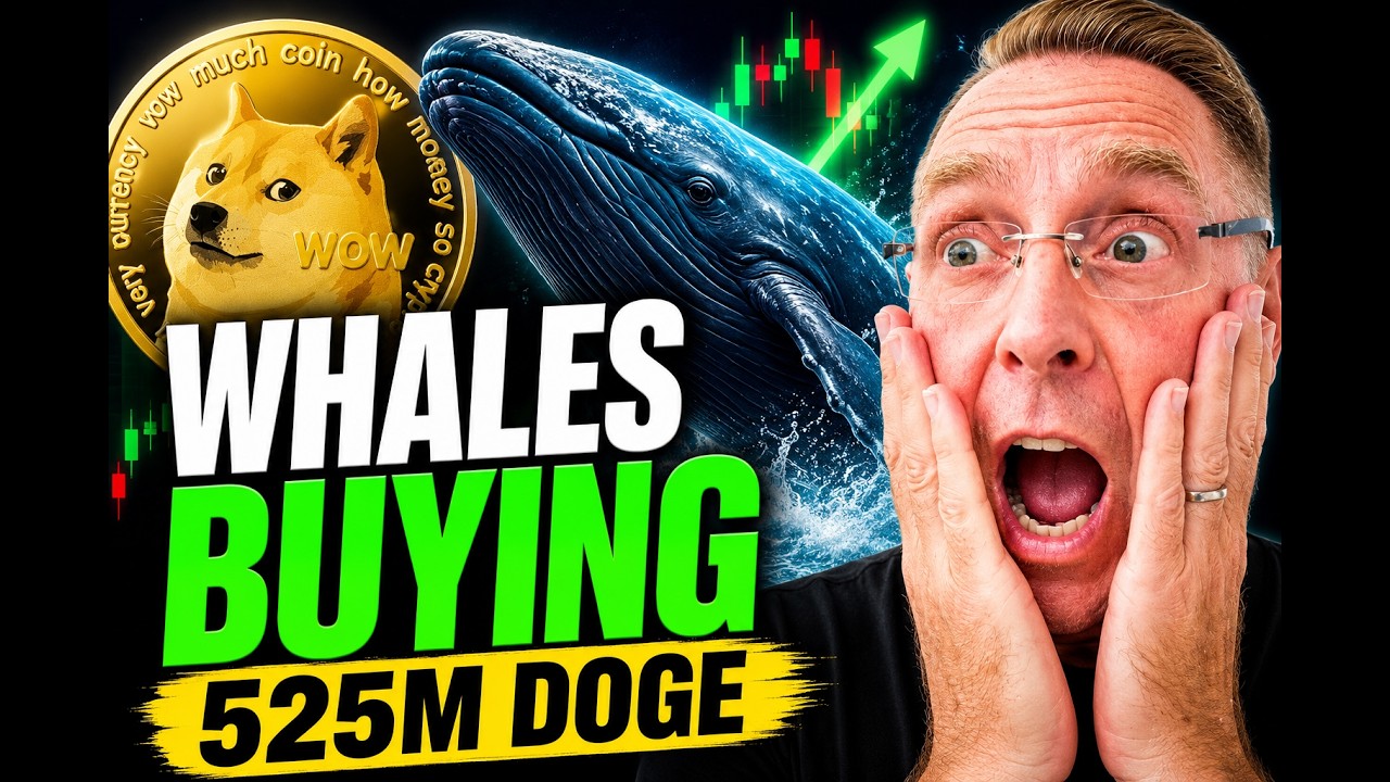 🚨 Киты Dogecoin только что закупили 525 МИЛЛИОНОВ DOGE&hellip; Готов ли DOGE к резкому взлету?