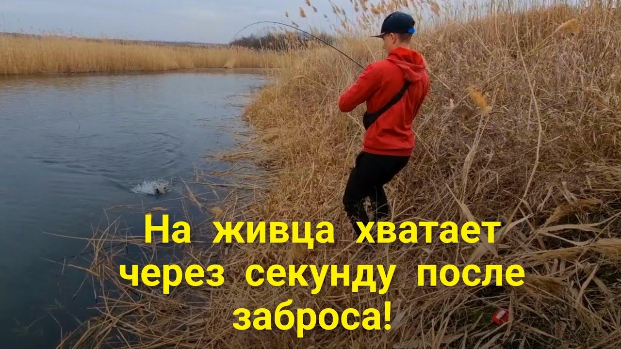 ТАКОГО ОТКРЫТИЯ СЕЗОНА ЛОВЛИ ЩУКИ НА ЖИВЦА У НАС ЕЩЁ НЕ БЫЛО! ВЕСНА 2025.