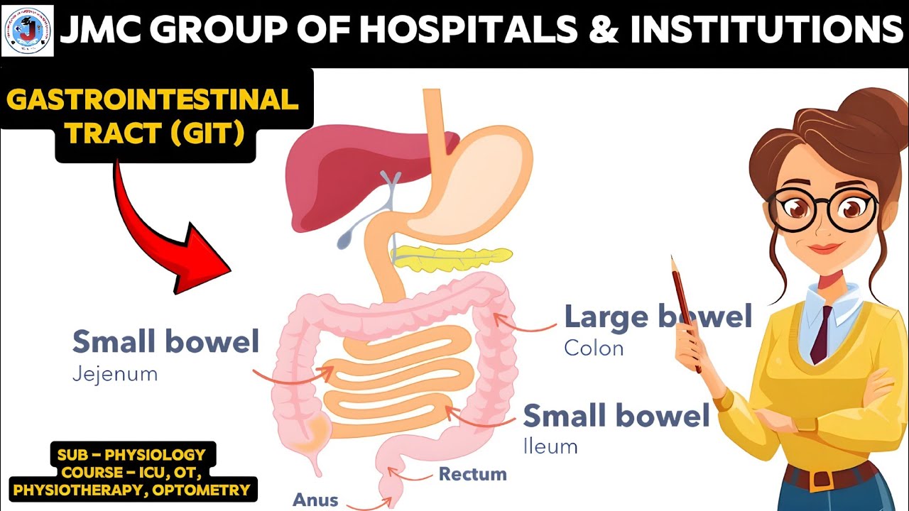Gastrointestinal tract (GIT) in hindi | function | layers | intestine #onlineclasses 