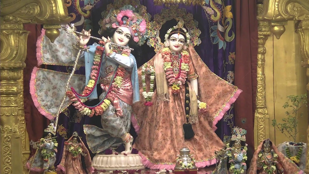 🙏🌟 Radha Gopinath Mandir Daily Live | Edison, NJ 🕉️🎶