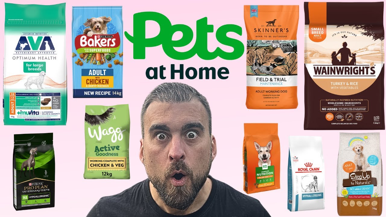 Dog Nutritionist Ranks The Best Dog Foods UK