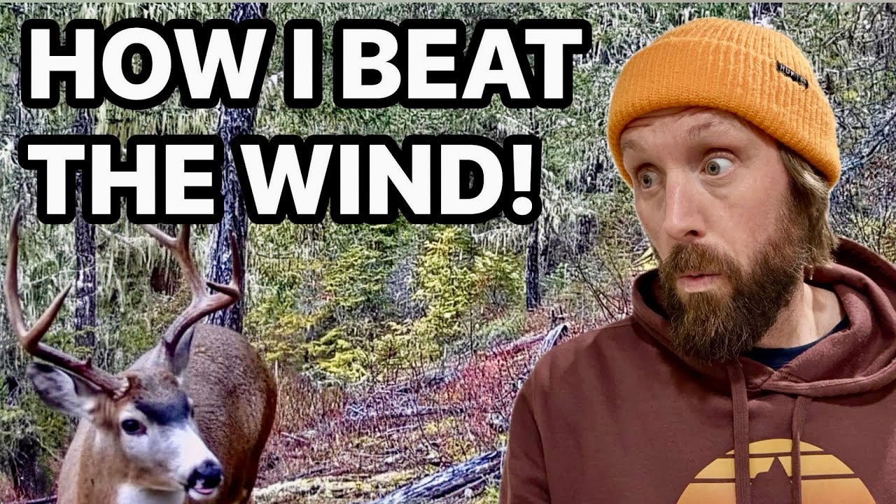 How To Hunt The Wind For Blacktail Deer
