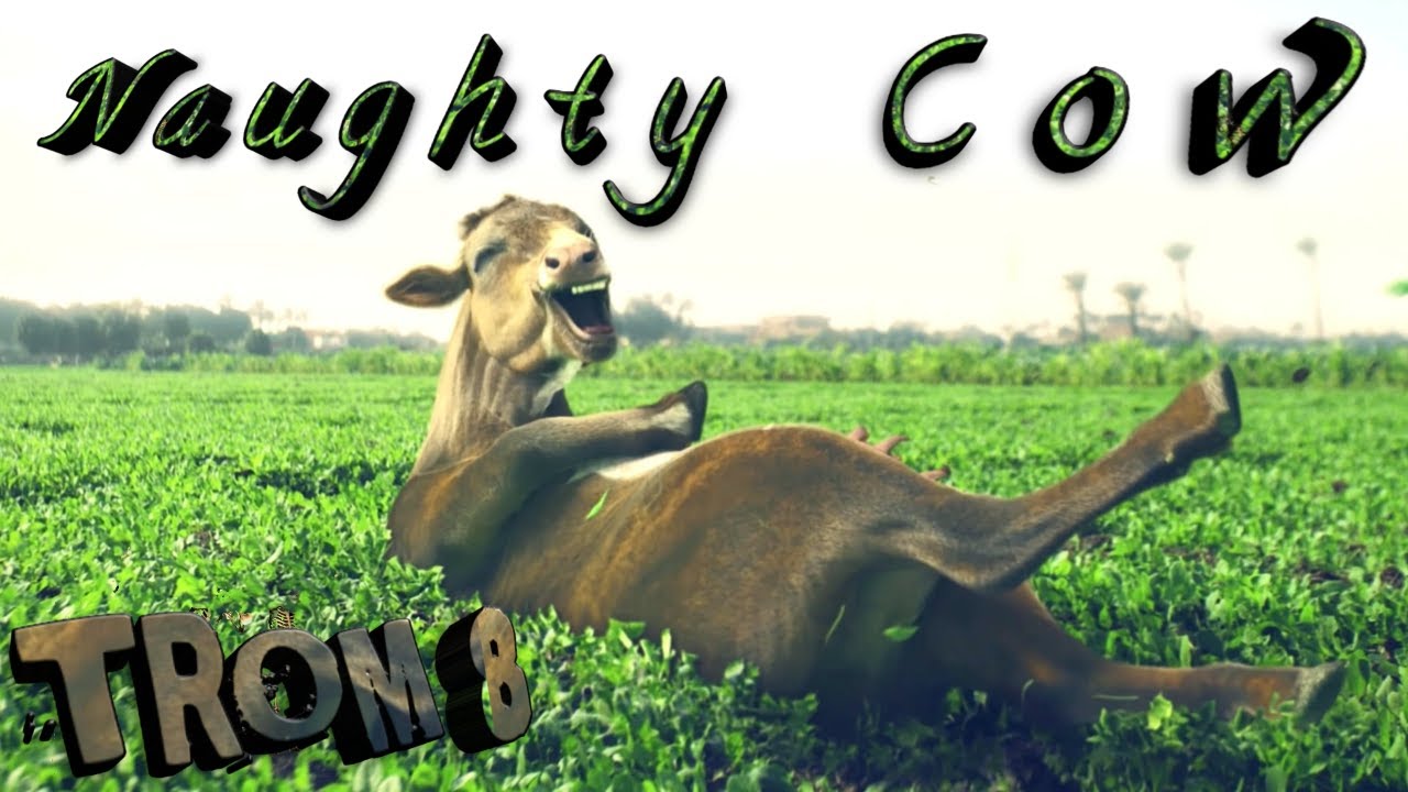 [Dubstep] TROM 8 - Naughty Cow (Original Mix)