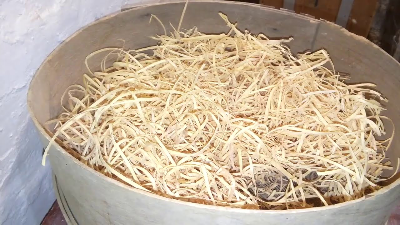 Канарейки из чего строят гнёзда.