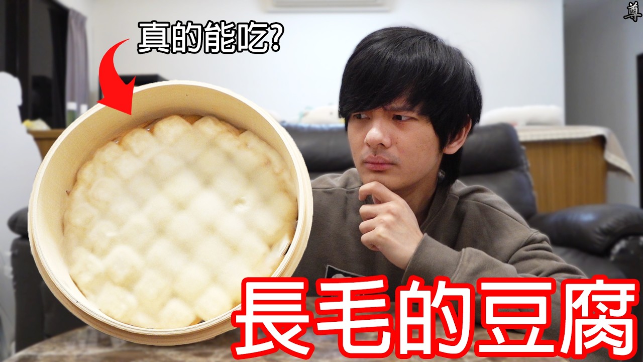 【尊】我做了一盤發霉的豆腐 ! ? 都長毛了真的可以吃嗎...?