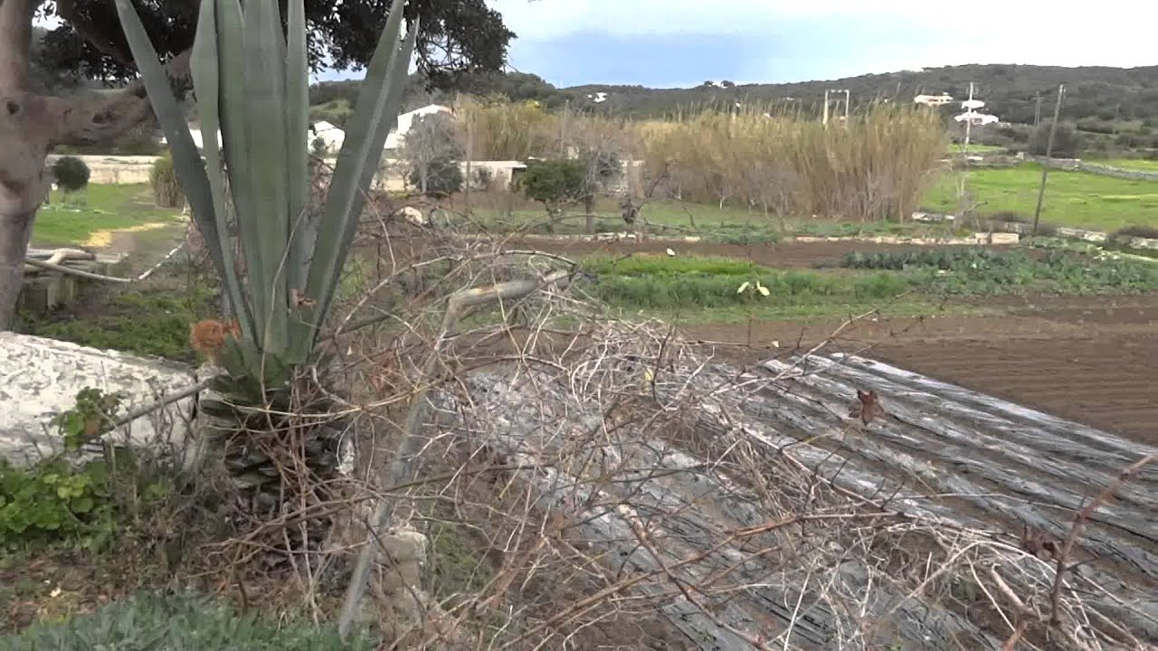 Menorca: casa de campo en Mahón