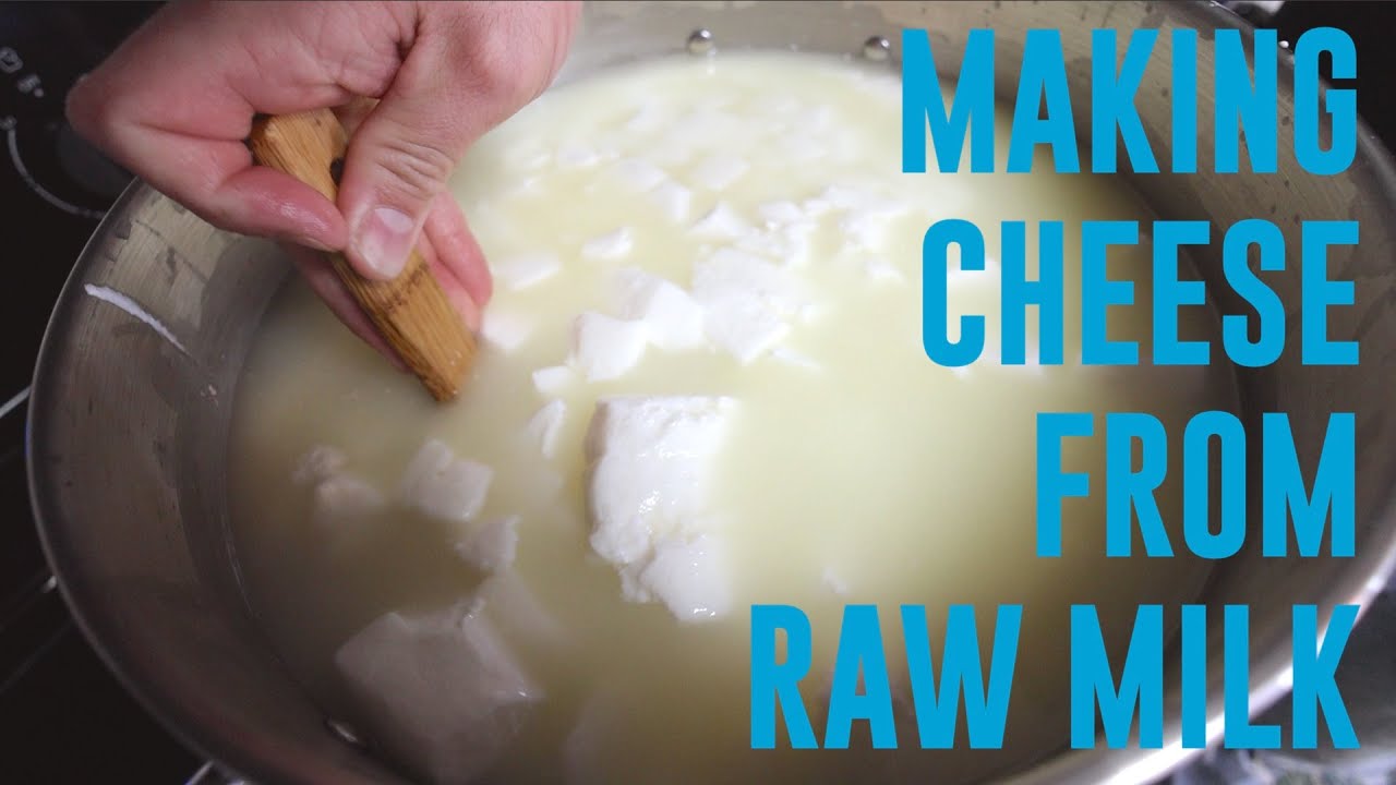 Making Cheese from Raw Milk (Part I)