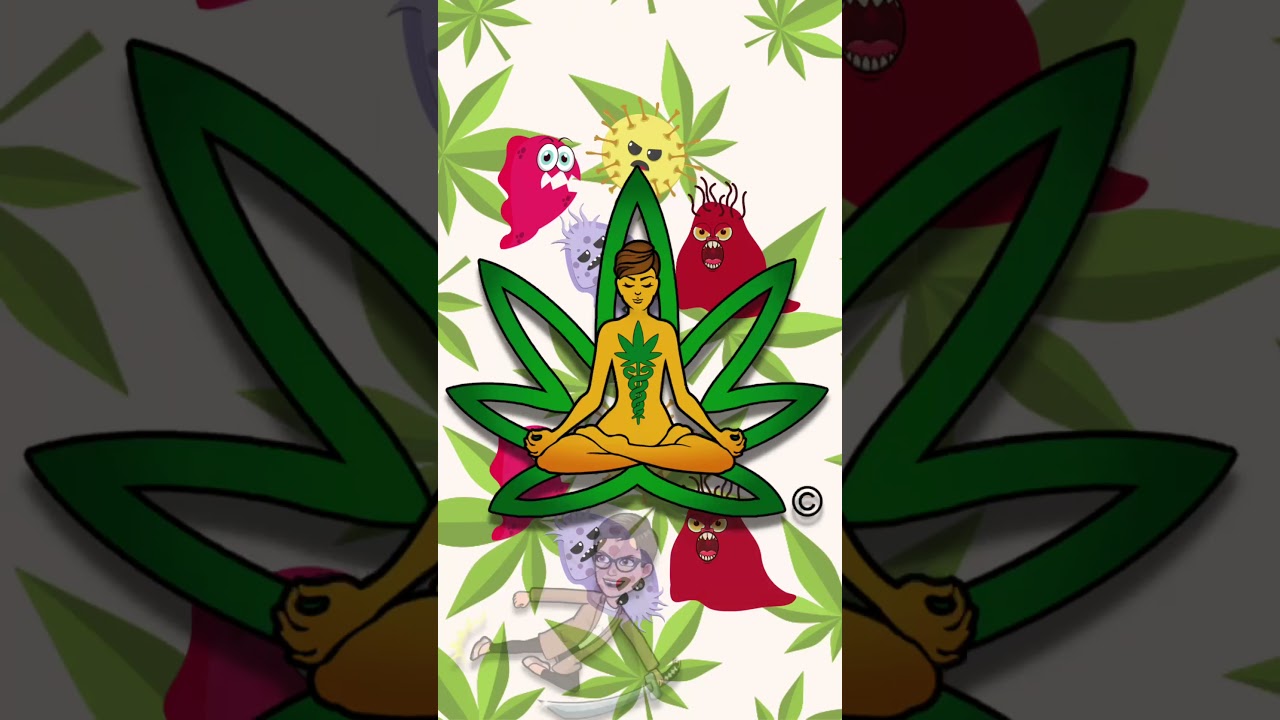 Ep11 (English)  Cannabis and Cancer