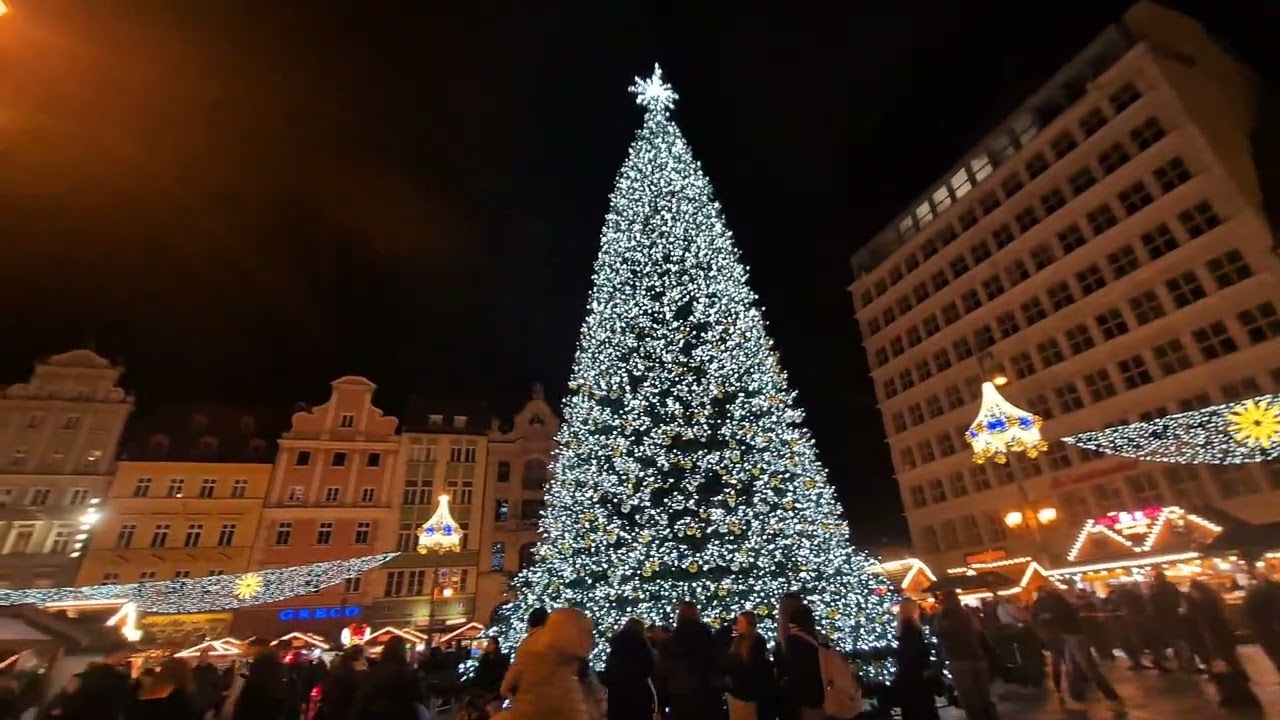 A walk through Wroclaw at night. Christmas in Wroclaw. New Year's tree in Wroclaw. Poland.