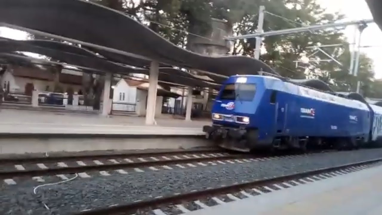 Τρένα στο Λειανοκλάδι (5)