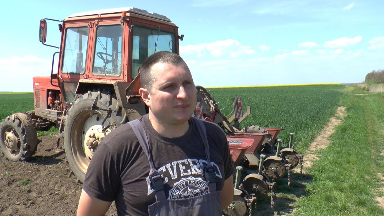 Počela setva kukuruza u novokneževačkom ataru