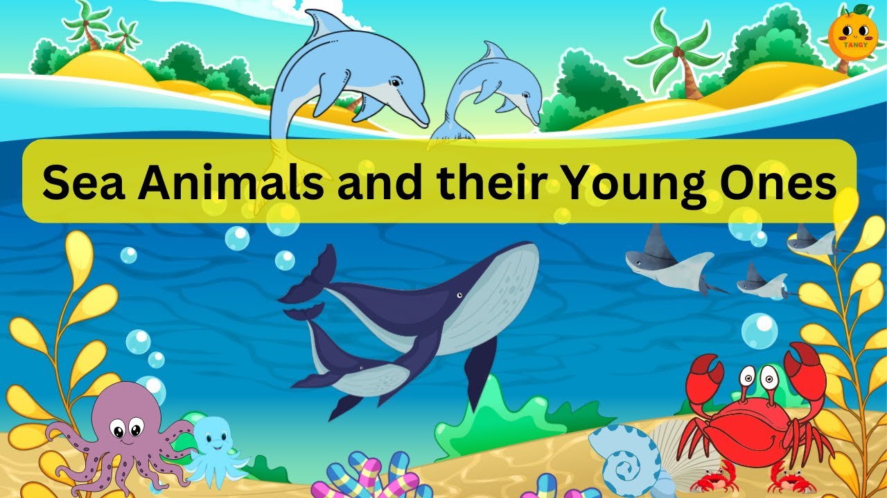 Sea Animals | Sea animals and their babies | Aquatic Animals | Sea animals for kids | Animals babies