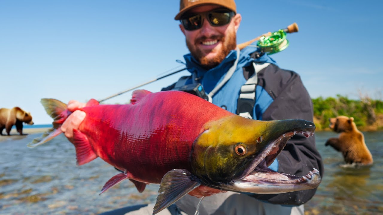 The Dangers of Fly Fishing Alaska.. (Surrounded By Bears)