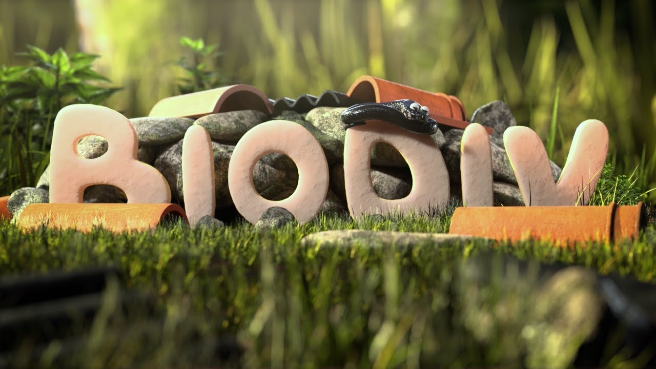 COMMENT CONSTRUIRE UN ABRI À REPTILES (CAPSULE 12 - BIODIV)