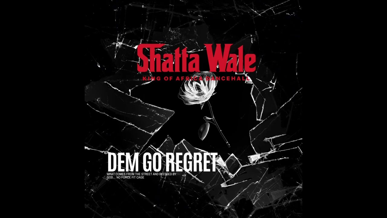 Shatta Wale - Dem Go Regret (Audio Slide)