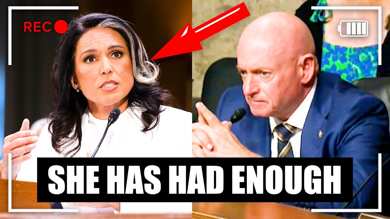 Тулси Габбард РАЗНЕСЛА Марка в пух и прах, когда он 