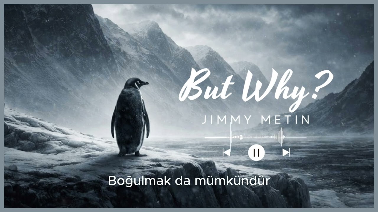 Jimmy Metin – But Why