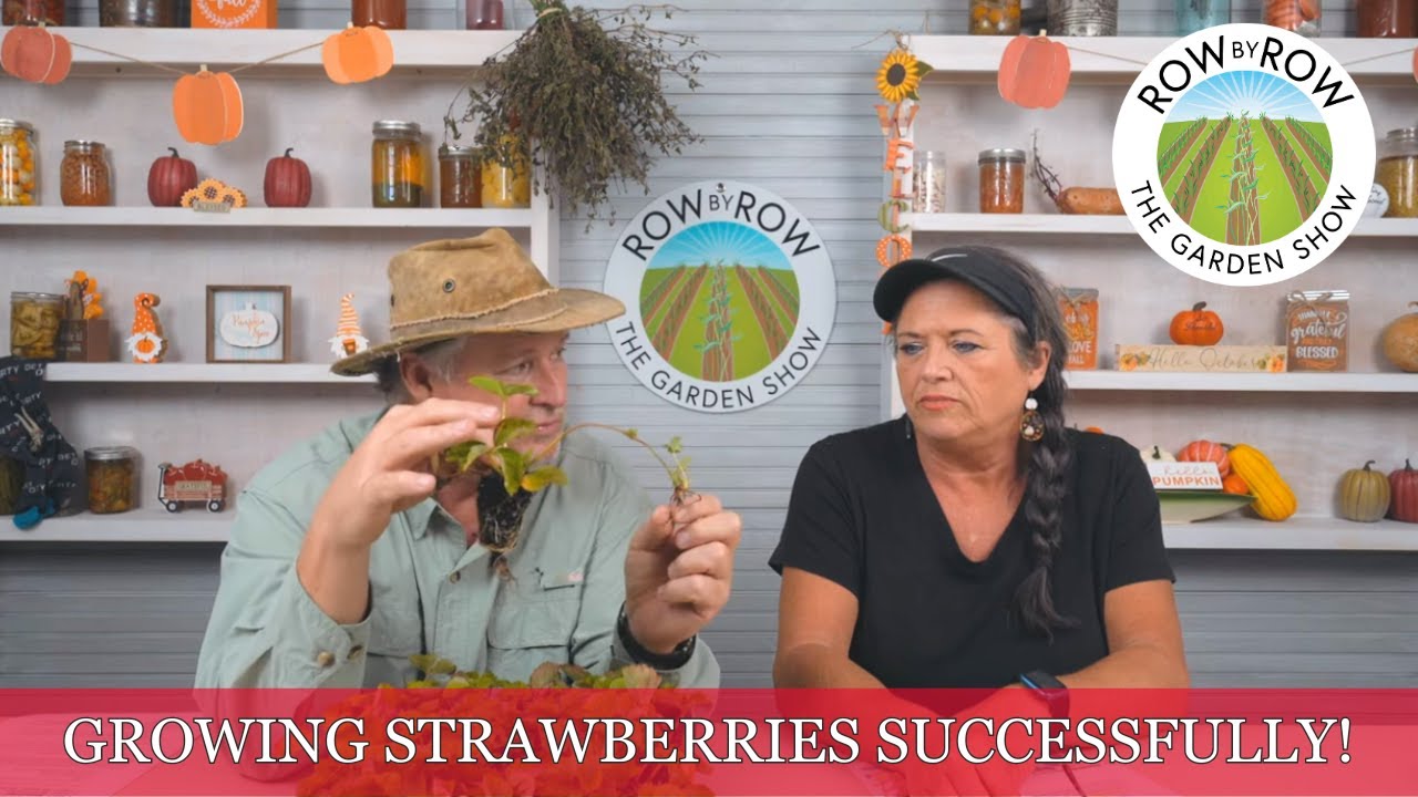 How To Successfully Grow Strawberries | Gardening Tips and Tricks
