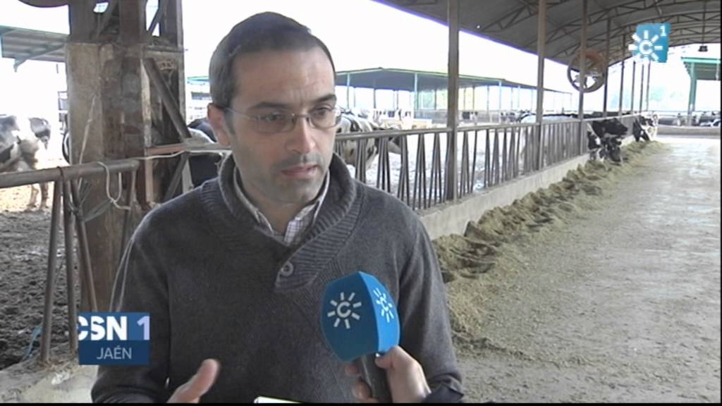 Levasa de Jaén y otras tres empresas andaluzas productoras y transformadoras de leche sin ayudas
