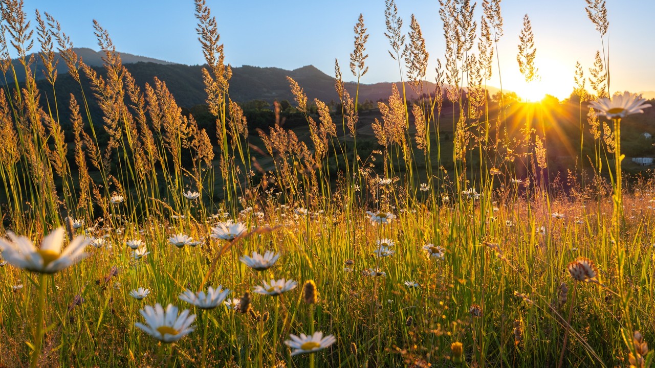 Beautiful Relaxing Hymns, Peaceful Instrumental Music, 