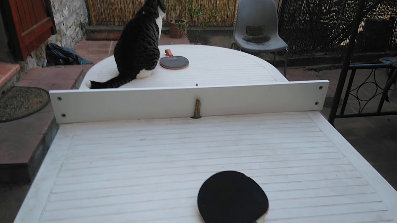 Ping-pong en famille, on fait avec les moyens du bord