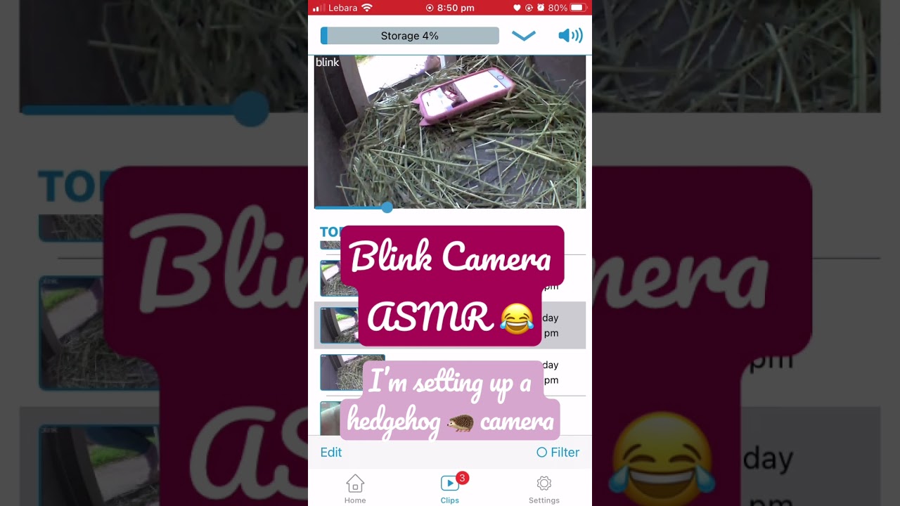 Adjusting Camera ASMR LOL 