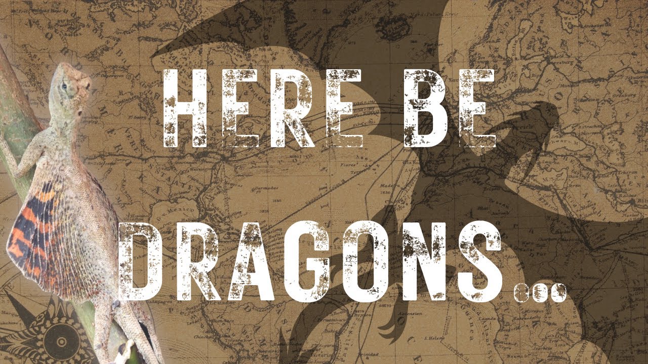I brought REAL LIFE DRAGONS! Project Draco