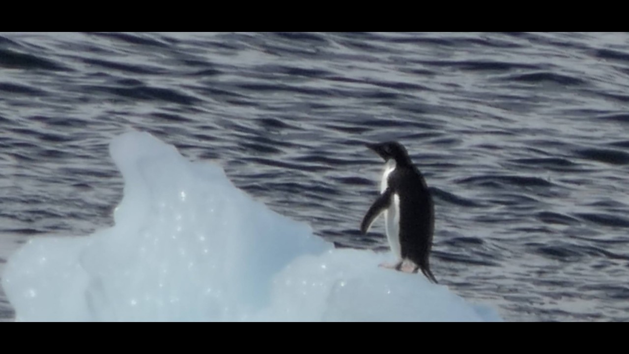 Antarctica Day 2 at Antarctica  Port Lockroy Wilhelmina Bay Gerlache Strait Deception Island