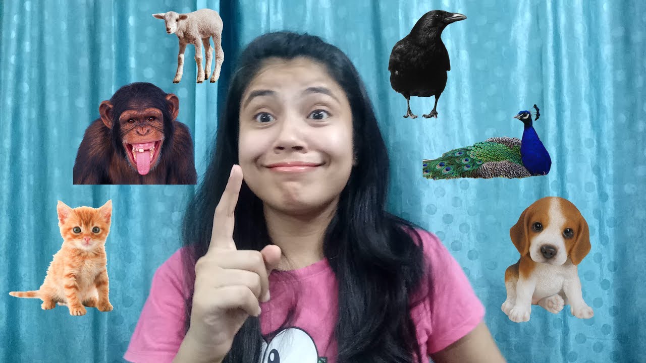 Animal Voices Mimicry By Akanksha Sharma