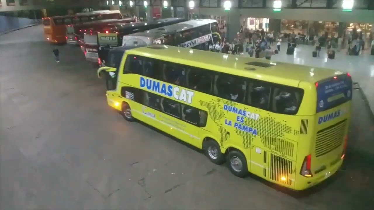 Colectivos en la Terminal de Córdoba 7 de octubre 2022