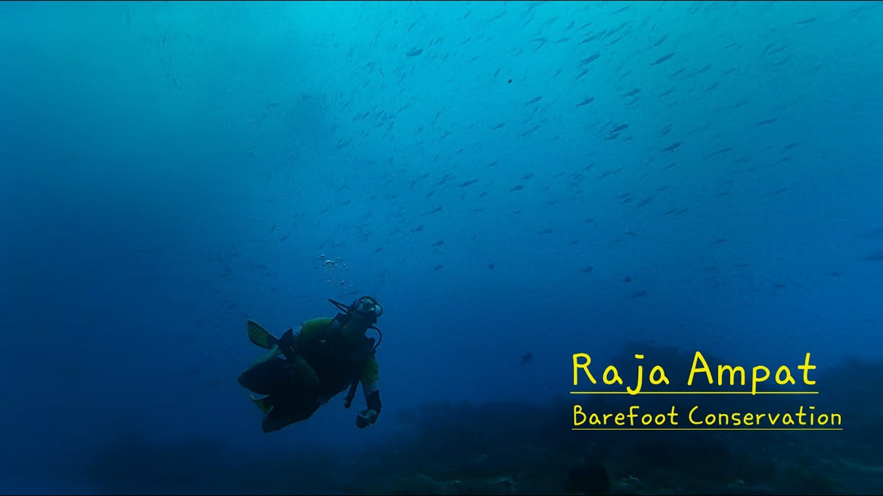 DISCOVER Raja Ampat : Volunteering with BAREFOOT CONSERVATION