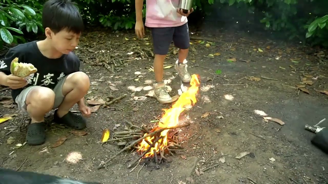 How to Start a Forest fire