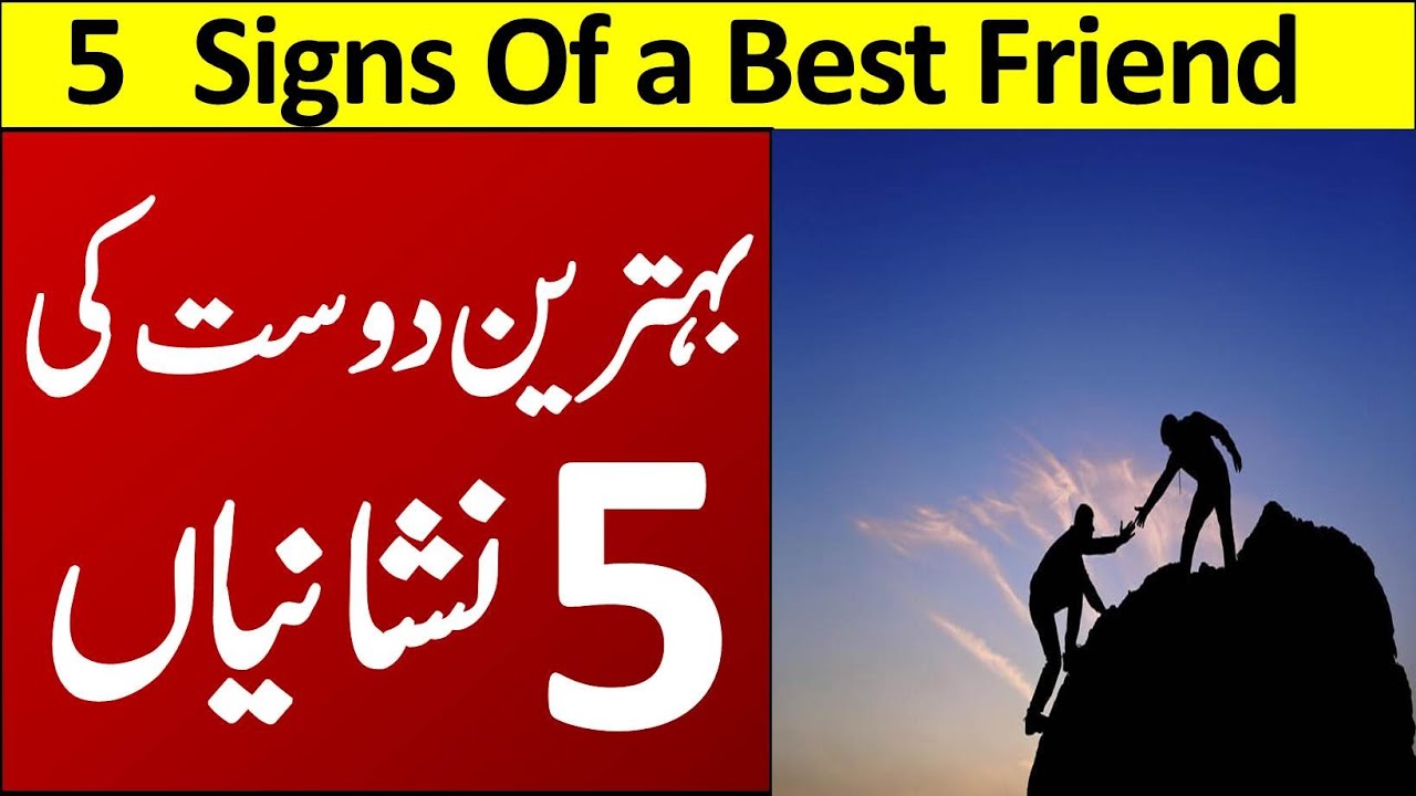 Top 5 Signs Of a Best Friend | Behtareen Dost Ki 5 Nishaniyan