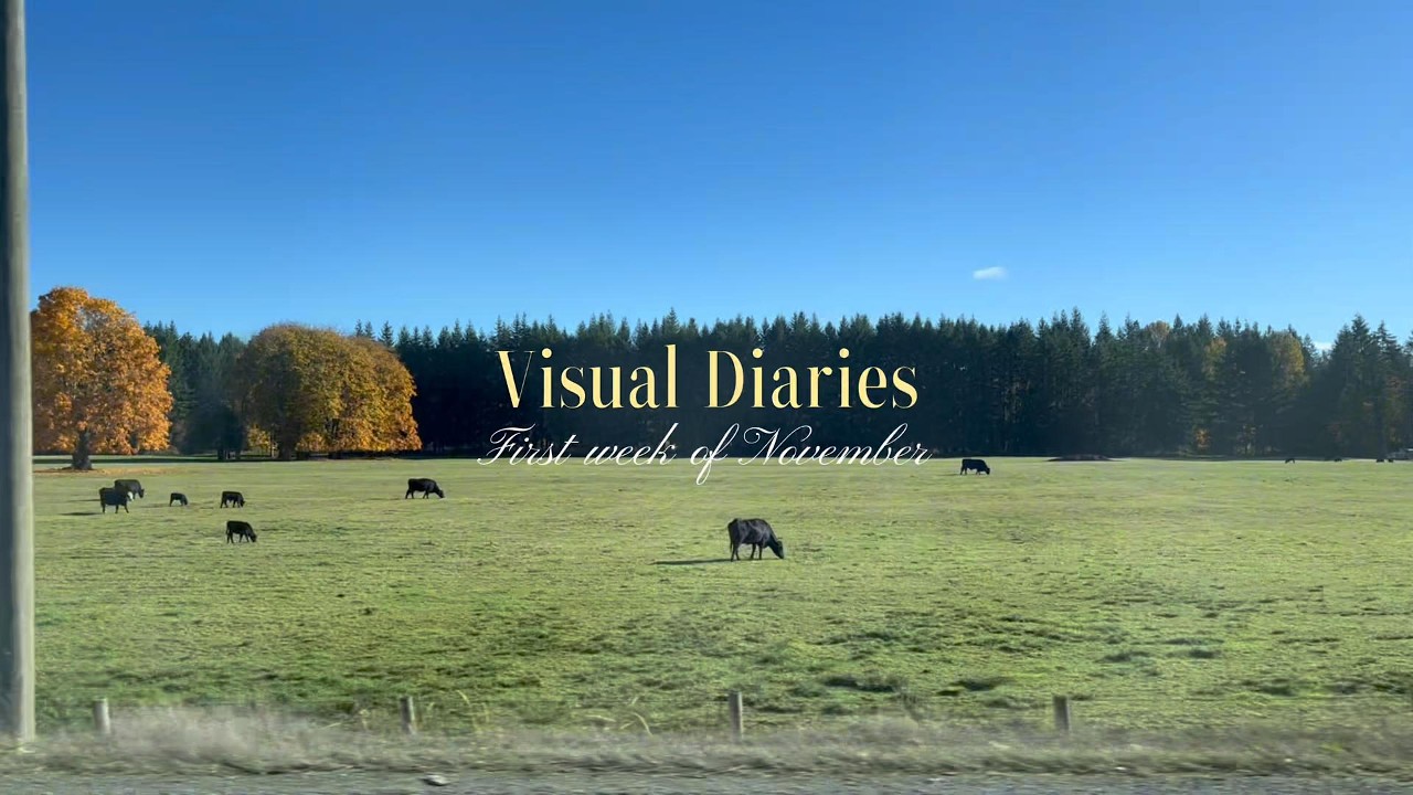 Visual Diary: 2nd Week of November 2025 🇨🇦 | Quick Room Tour