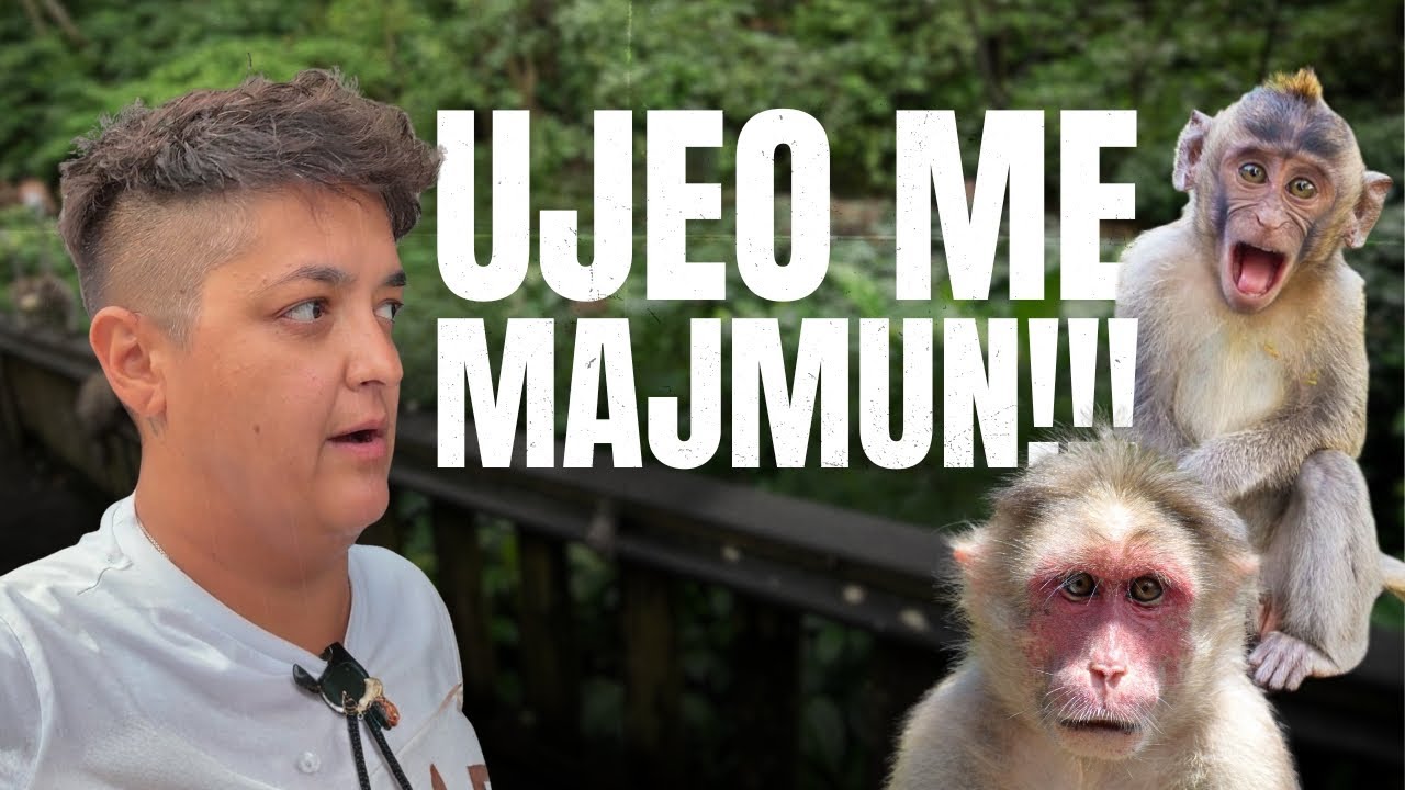 Marija Šerifović - UJEO ME MAJMUN!!! #215