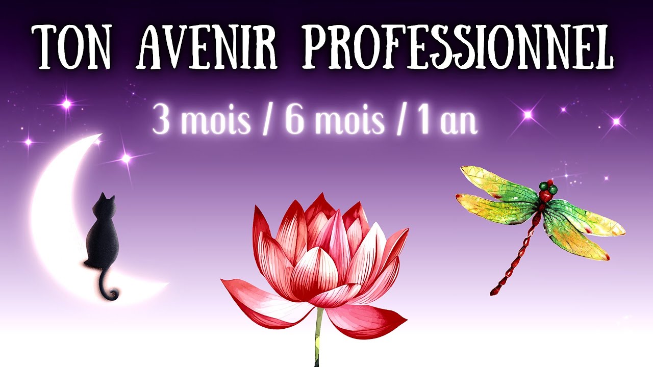 TON AVENIR PROFESSIONNEL ⚡🍀🌟 #guidance #cartomancie #mariecartomancieetcompagnie 🧙&zwj;♀️